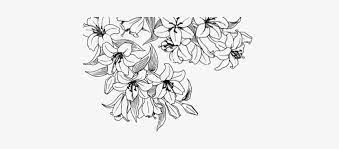 Black and white galaxy background; 28 Collection Of Tumblr Flower Drawing Transparent White Flower Drawing Transparent Transparent Png 500x500 Free Download On Nicepng