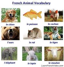 Learn How To Say 40 Kinds Of Animals In French Includes 40 Mp3 Files This Is A Fun Lesson And A Great Way To Practice Your Pronunciation Lingua Francesa