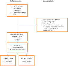 Prostate cancer is a common type of cancer in men, according to the mayo clinic. Flowchart Showing Study Group Assembly And Follow Up Of The Download Scientific Diagram