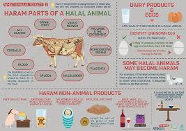Shark meat is seafood that majority of scholars classify as halal to eat for muslims. What Animals Are Haram To Eat