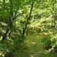 Nature & Yoga Retreat: Beaman Park Experience