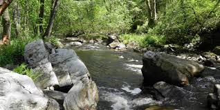 How to use river in a sentence. River Restoration Start Umweltbundesamt