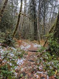 Deer creek hot springs is a hot spring along the mckenzie river in the cascade range of western oregon, united states. Deer Creek Hot Springs Central Oregon S Hidden Gem Mike Laura Travel