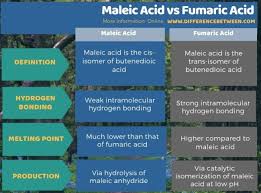 Heterogeneous Photocatalytic Aqueous Succinic Acid Formation From Maleic  Acid Reduction - Sciencedirect