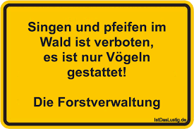 Pin Auf Bilder