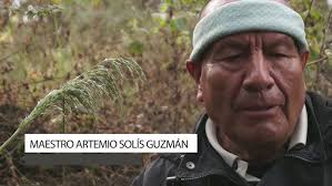 Nahuales: base del conteo del tiempo para el Pueblo Maya