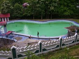 Pasalnya, di dalam susu ada. Limakaki Wisata Pemandian Air Panas Lejja Yang Kini Mulai Terkenal Oleh Wisatawan Dari Luar Daerah
