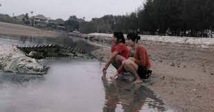 Check spelling or type a new query. Tafsir Arti Mimpi Tentang Buaya Terlengkap Dan Penting Perlu Kamu Ketahui Mentari Bali Holiday