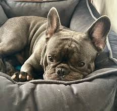 Dora Ospina (@doraospina) • Instagram photos and videos