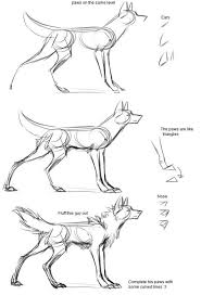 Pin By Woolf E On Animal Study Manga Drawing Tutorials Creature Concept Art Animal Drawings