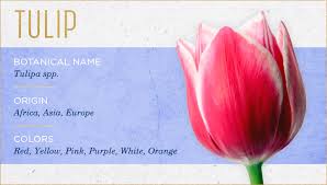 Maybe you would like to learn more about one of these? The 20 Most Beautiful Flowers You Ll Ever See Ftd Com