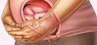 Ayın son haftasına girilmektedir ve doğuma yaklaşık 5 hafta bir süre kaldığı tahmin edilir. Anne Karninda 7 Aylik Bebek Kac Kilo Olmali 2021 Faydalari Com