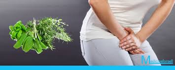 19 ø¹ø§ù„ù… ø­ùˆø§ø¡ ideas conceiving a boy how to conceive honey hair mask. Ø§Ù„ØªÙ‡Ø§Ø¨ Ø§Ù„Ù…Ù‡Ø¨Ù„ Ø§Ù„Ø¨ÙƒØªÙŠØ±ÙŠ Ø¹Ø§Ù„Ù… Ø­ÙˆØ§Ø¡ Ù…ÙŠØ¯ÙŠØ³ÙŠÙ† ÙÙˆØ±Ø³ÙŠÙ„
