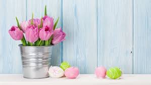 Des chocolats plein le jardin, tous les enfants entament une course aux oeufs : Quelles Fleurs Offrir Pour Paques