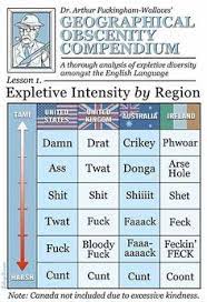 45 Swearing Humor Ideas Swearing Humor Humor Funny Quotes