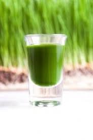 Some research show that wheatgrass contains a small percentage vitamin b12 so, being. Wheatgrass Reverse Gray Hair Back To Its Natural Color Reverse Gray Hair Anti Aging Food Wheat Grass