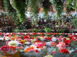 Grădini Botanice Cea Din Kew Din Londra Este Una Dintre Cele Mai Cunoscute Din Lume și Cuprind Botanical Gardens Better Homes And Gardens Gardens Of The World