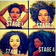 Natural Hair Inspiration The Stages Of 4c Hair Natural Hair Inspiration Natural Hair Styles Natural Hair Journey