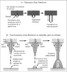 Mode De Croissance Des Fistuleuses Stalactites Stalagmites Et Download Scientific Diagram Formation of stalactites & stalagmites (national 5 geography limestone).