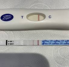 Boots Early Pregnancy Tests Anyone Babycentre