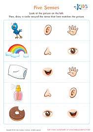 the 5 senses worksheets free printables