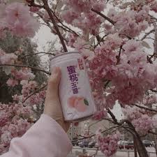 Check spelling or type a new query. Softie Cherry Blossom Moodboard Please Like If You Save