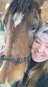 Basin Miniature Horses and Ponies!