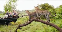 Cheap Flights to Kruger National Park
