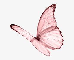 Blue Aesthetic Butterfly Background Largest Wallpaper Portal Butterfly, pink butterfly background, pink butterflies, cosmetics, heart png. blue aesthetic butterfly background