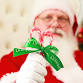 Brunch with Santa at The Northport Hotel event image