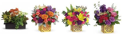 We guarantee top quality bouquets send flowers to the netherlands with euroflorist. The 5 Best Options For Flower Delivery In Holland Michigan 2021
