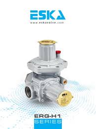 ERG-H1 Gas Regulator Specifications | PDF | Valve ...