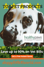 The insurance covers necessary medical costs when accidents occur. Healthy Paws Is A Top Rated Pet Insurance Have A 98 Satisfaction Rating Based On Pet Parent Reviews They Offer No Annu Pet Parent Pet Insurance Pet Wellness