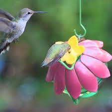 Check spelling or type a new query. So Real Single Flower Hummingbird Feeder Pink Model Sfhf1 Natureswaybirds Com