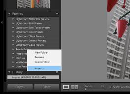 How To Use Lightroom Brush Presets (Save Time Editing) 2024