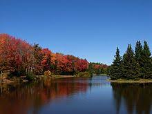 Centennial park features a mix of lush forest and open recreational spaces. Moncton Wikipedia