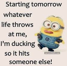 The few who learn by observation. 50 Hilariously Funny Minion Quotes With Attitude Minions Funny Funny Minion Pictures Funny Minion Quotes