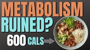 600 Calorie Diet Lose Weight Fast Youtube