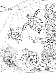 Swimming pool coloring page for kids. Three Sea Turtles Swimming Coloring Page Mermaid Pages Printable Turtle Ocean Animals For Kids Pictures Slavyanka