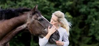 Les Principales Pathologies Du Cheval Age Classequine