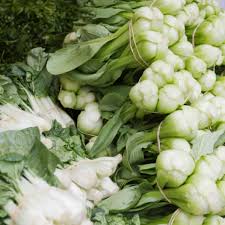 Can You Freeze Bok Choy Useful Tips Beezzly