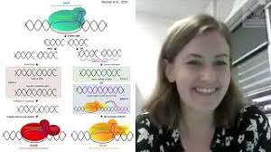 Down the Rabbit Hole: Crop science and GMOs