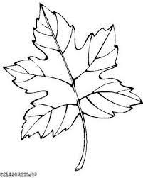 Imprimer le modèle de feuilles de palmier pour masque. Feuille De Vigne A Colorier Coloriagefeuille Fall Coloring Pages Coloring Pages Giant Paper Flowers