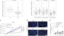 Clinical responses to ERK inhibition in BRAF V600E-mutant colorectal cancer  predicted using a computational model