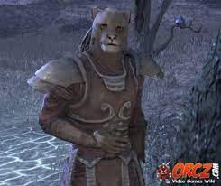 Eso Talk To Sergeant Kamu Into The Woods Orcz Com The Video Games Wiki