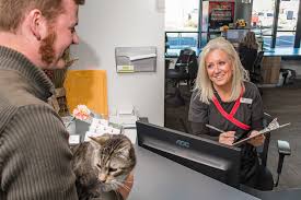 Sacramento county k9 unit dog drago has been medically from www.pinterest.com. Southern Oregon Veterinary Specialty Center 24 Hour Emergency Care