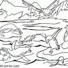 A cute arctic fox coloring page and learning sheet. 1