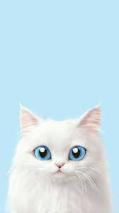 The great collection of funny cat iphone wallpaper for desktop, laptop and mobiles. Cute Cat Wallpaper Iphone 736x1308 Wallpaper Teahub Io