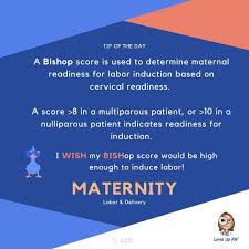 Image result for Bishop Score