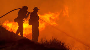 As well as many other types of smokers Tres Dos Cinco Setores Do Fogo Em Odemira Ainda Ativos Radio Pax